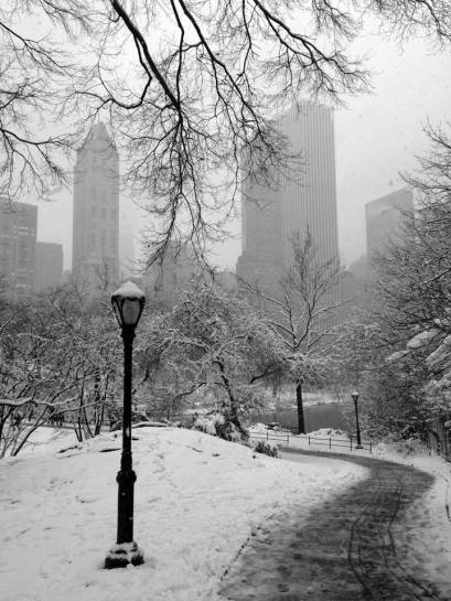 Central-Park-winter4
