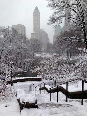 Central-Park-winter61