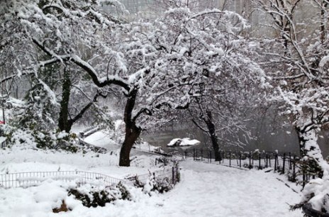 central-park2