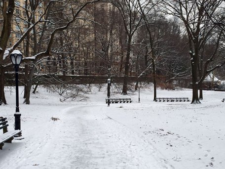 central-park2